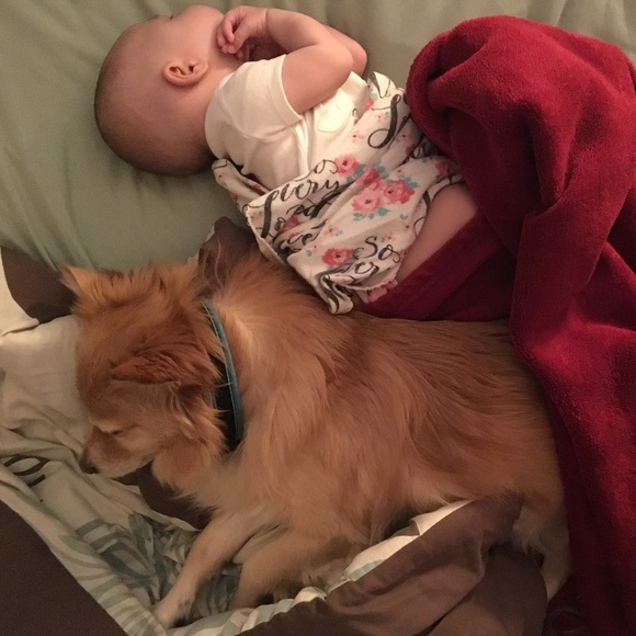 Meet your Posher! - Picture 3 of 8